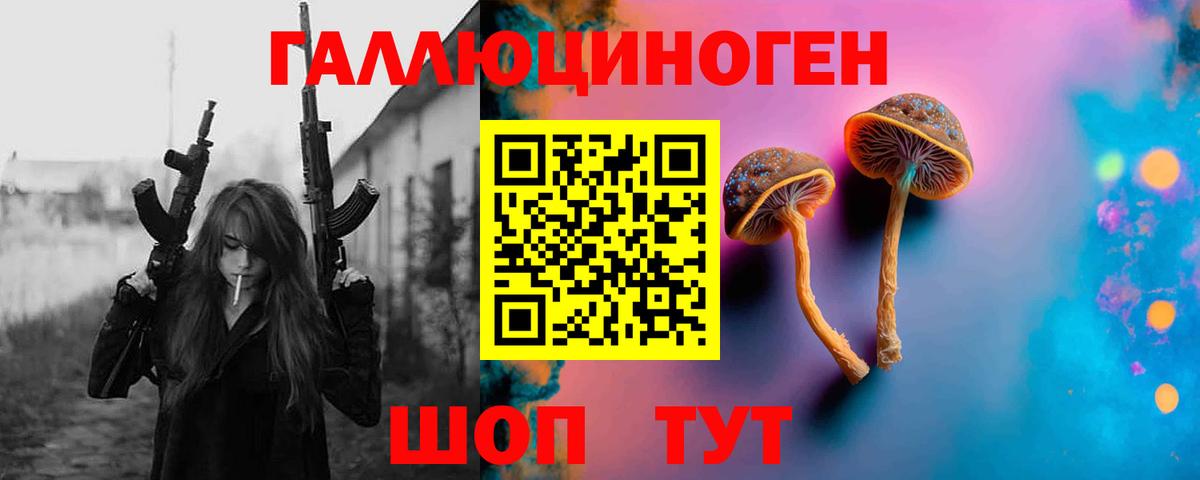 Псилоцибиновые грибы Cubensis Великие Луки